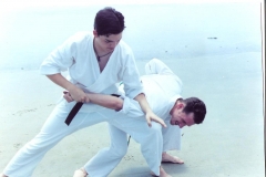karate Jackyl Island 2
