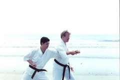 karate Jackyl Island 4