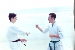 karate-Jackyl-Island-5