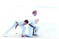 karate Jackyl Island 7