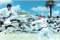 karate Jackyl Island 8